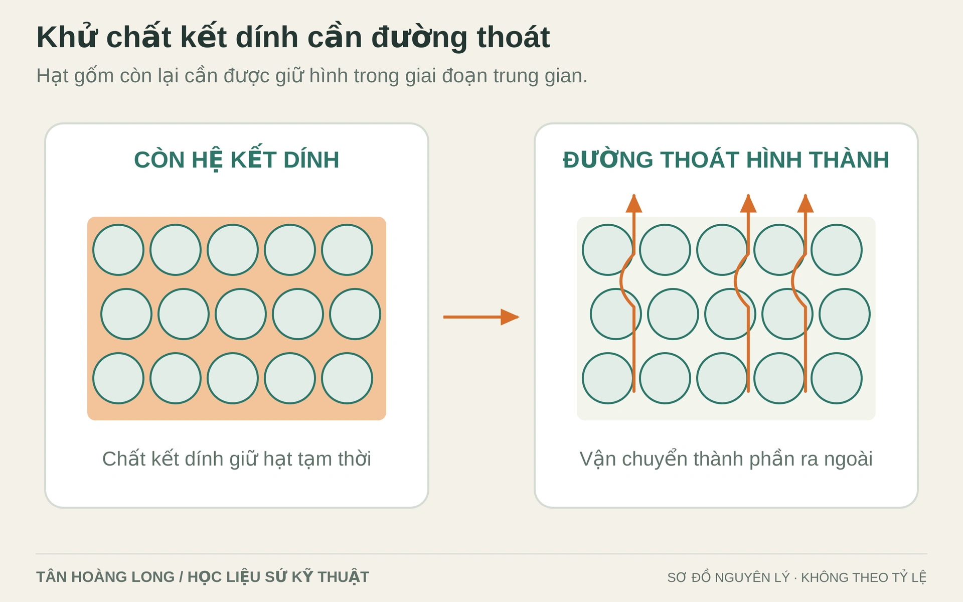 Màu cam minh họa hệ kết dính và hướng vận chuyển ra ngoài. Loại bỏ kết dính khác với sấy nước; tốc độ phản ứng và khả năng thoát đều cần được kiểm soát.
