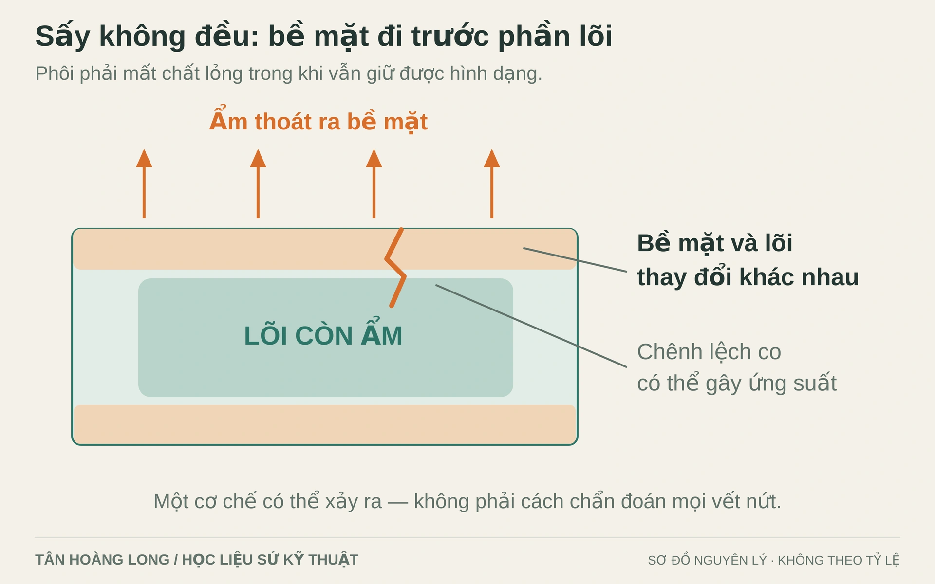 Mô hình cho thấy bề mặt mất ẩm trước lõi, tạo khả năng co không đồng đều và ứng suất. Phân bố thực tế phụ thuộc vật liệu, hình học và điều kiện xử lý.
