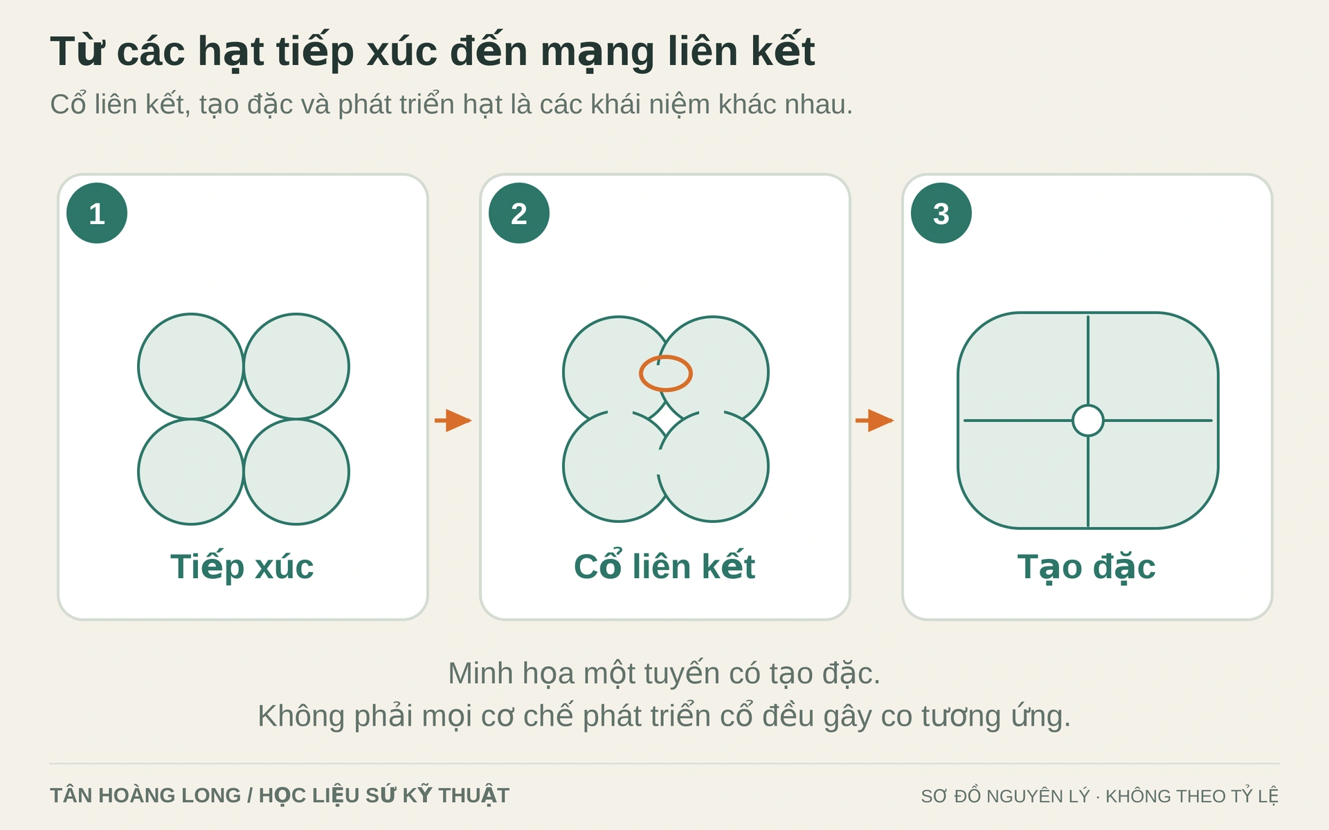 Chuỗi minh họa sự hình thành cổ và giảm khoảng trống trong một tuyến tạo đặc. Sơ đồ được đơn giản hóa; tăng cổ liên kết không luôn đồng nghĩa tạo đặc.